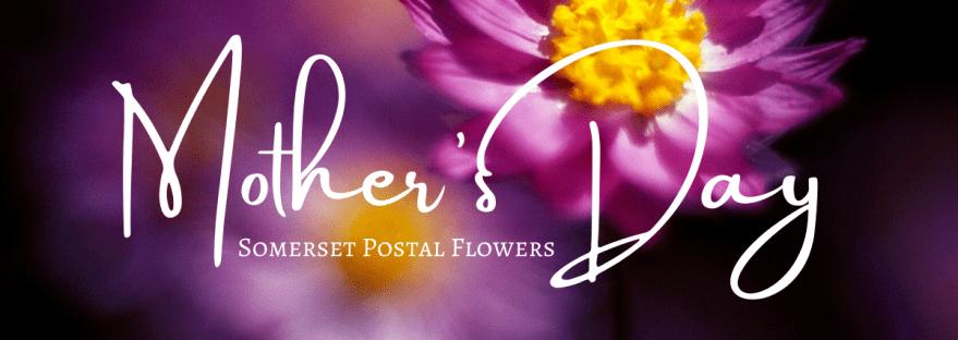 MOthers day flowers somerset postal flowers